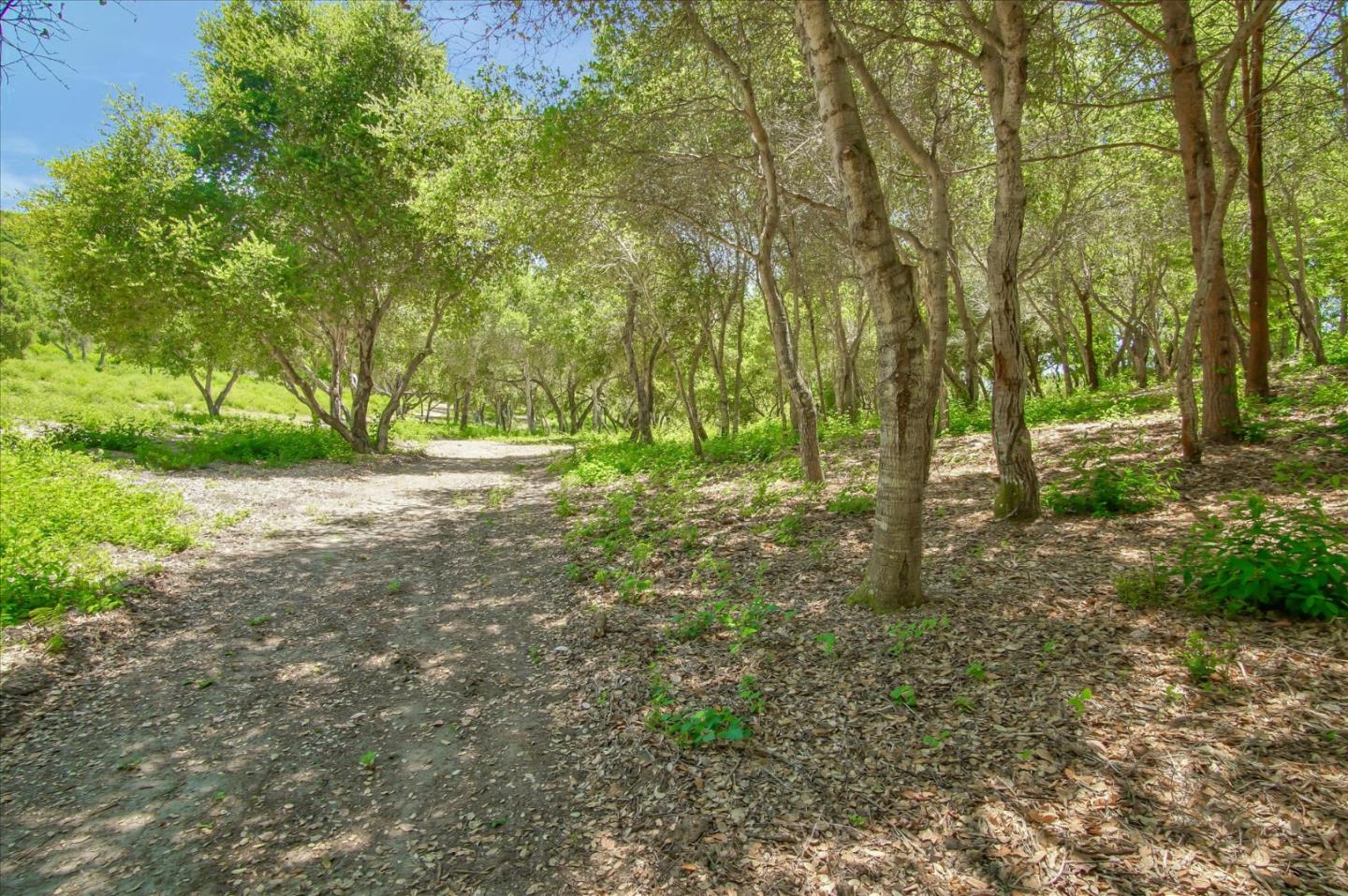 0 Apple Valley, CORRALITOS (WATSONVILLE), California 95076, ,Lots And Land,For Sale,Apple Valley,40967701