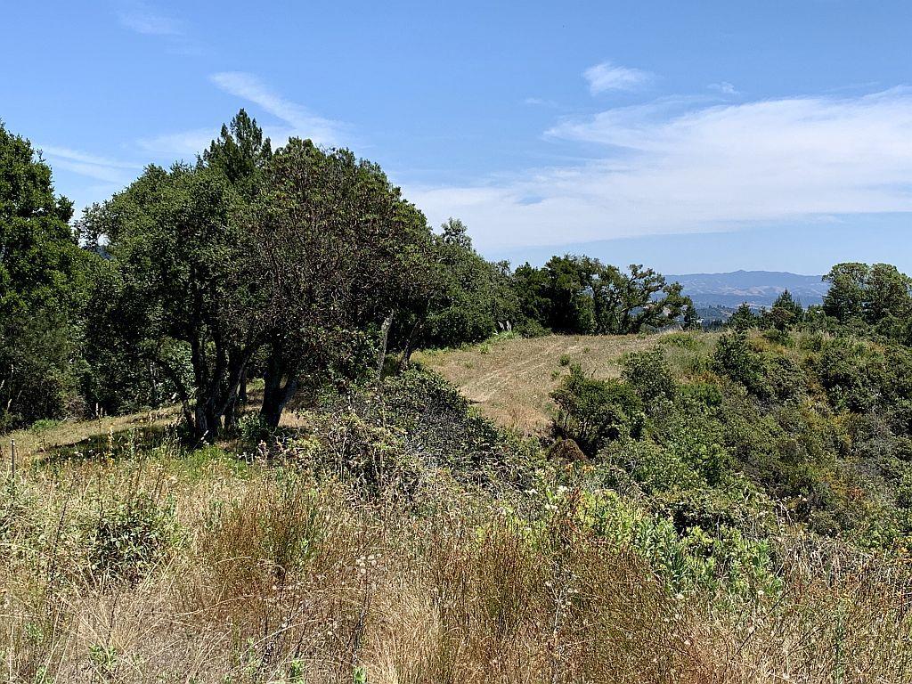 0 Apple Valley, CORRALITOS (WATSONVILLE), California 95076, ,Lots And Land,For Sale,Apple Valley,40967701