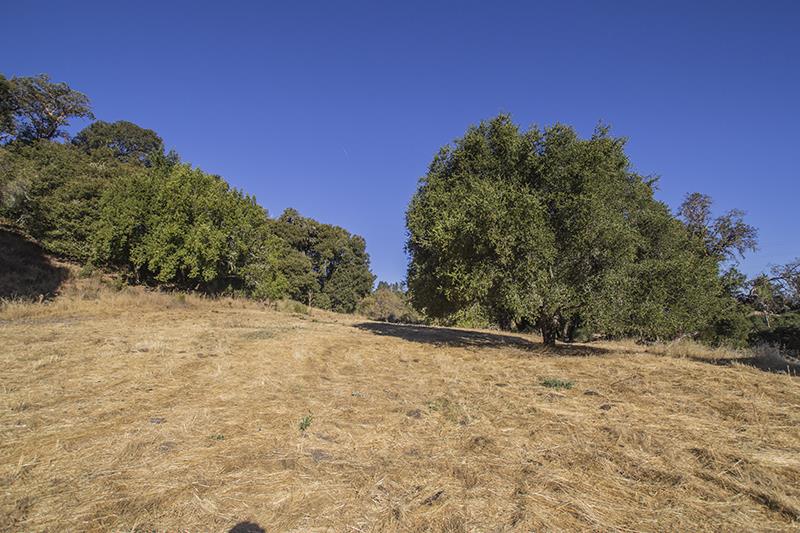 250 Heacox, WOODSIDE, California 94062, ,Lots And Land,For Sale,Heacox,40967712