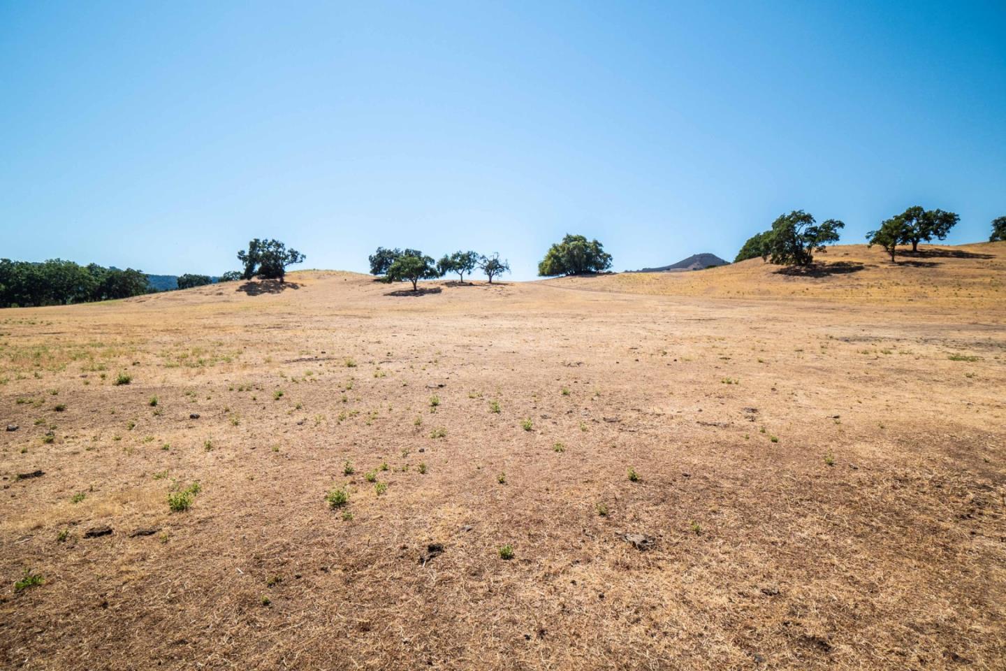 0 Edmundson Avenue, MORGAN HILL, California 95037, ,Lots And Land,For Sale,Edmundson Avenue,40967713