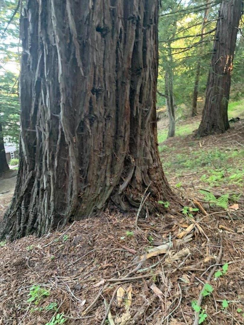 275 Sugarloaf Road, SCOTTS VALLEY, California 95066, ,Lots And Land,For Sale,Sugarloaf Road,40967724