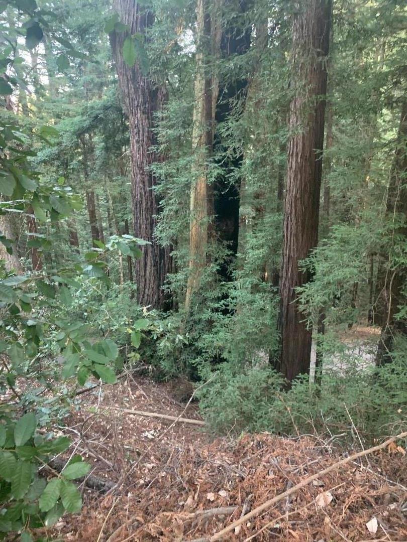 275 Sugarloaf Road, SCOTTS VALLEY, California 95066, ,Lots And Land,For Sale,Sugarloaf Road,40967724