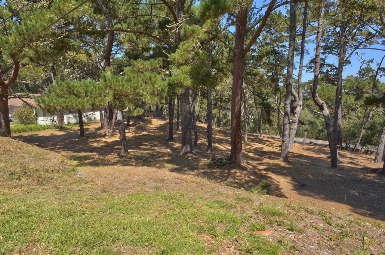 4037 Costado Road, PEBBLE BEACH, California 93953, ,Lots And Land,For Sale,Costado Road,40967732