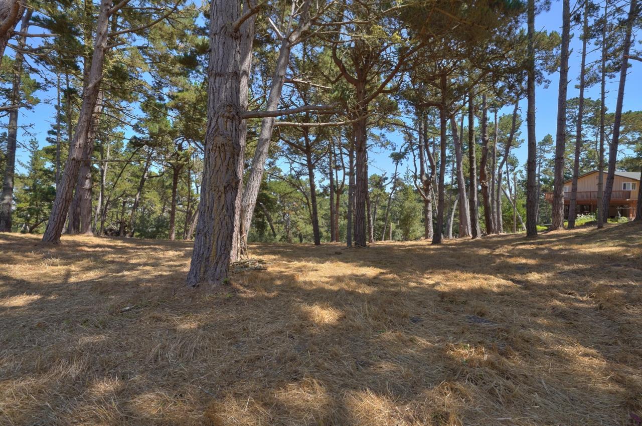 4037 Costado Road, PEBBLE BEACH, California 93953, ,Lots And Land,For Sale,Costado Road,40967732