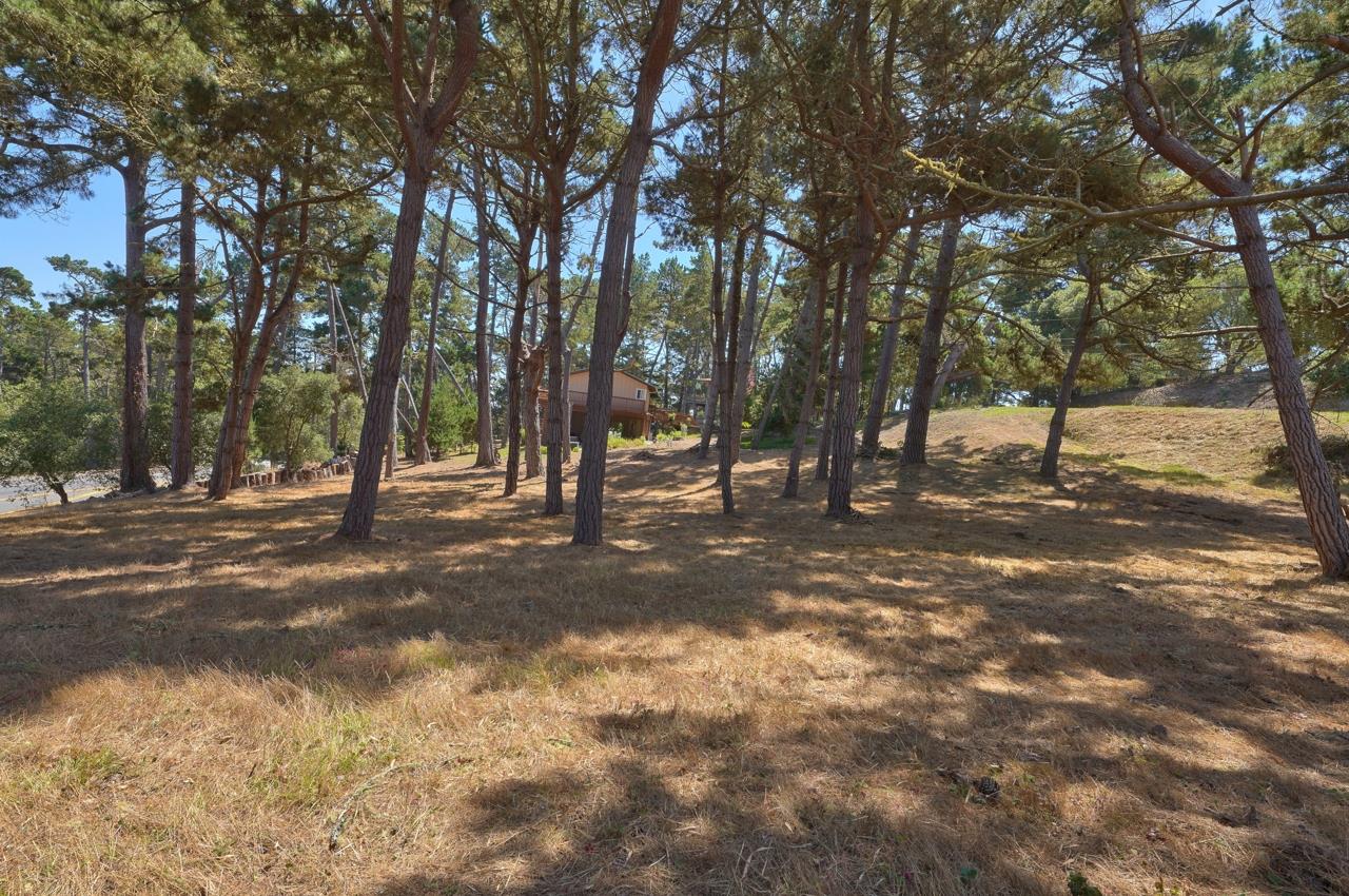 4037 Costado Road, PEBBLE BEACH, California 93953, ,Lots And Land,For Sale,Costado Road,40967732