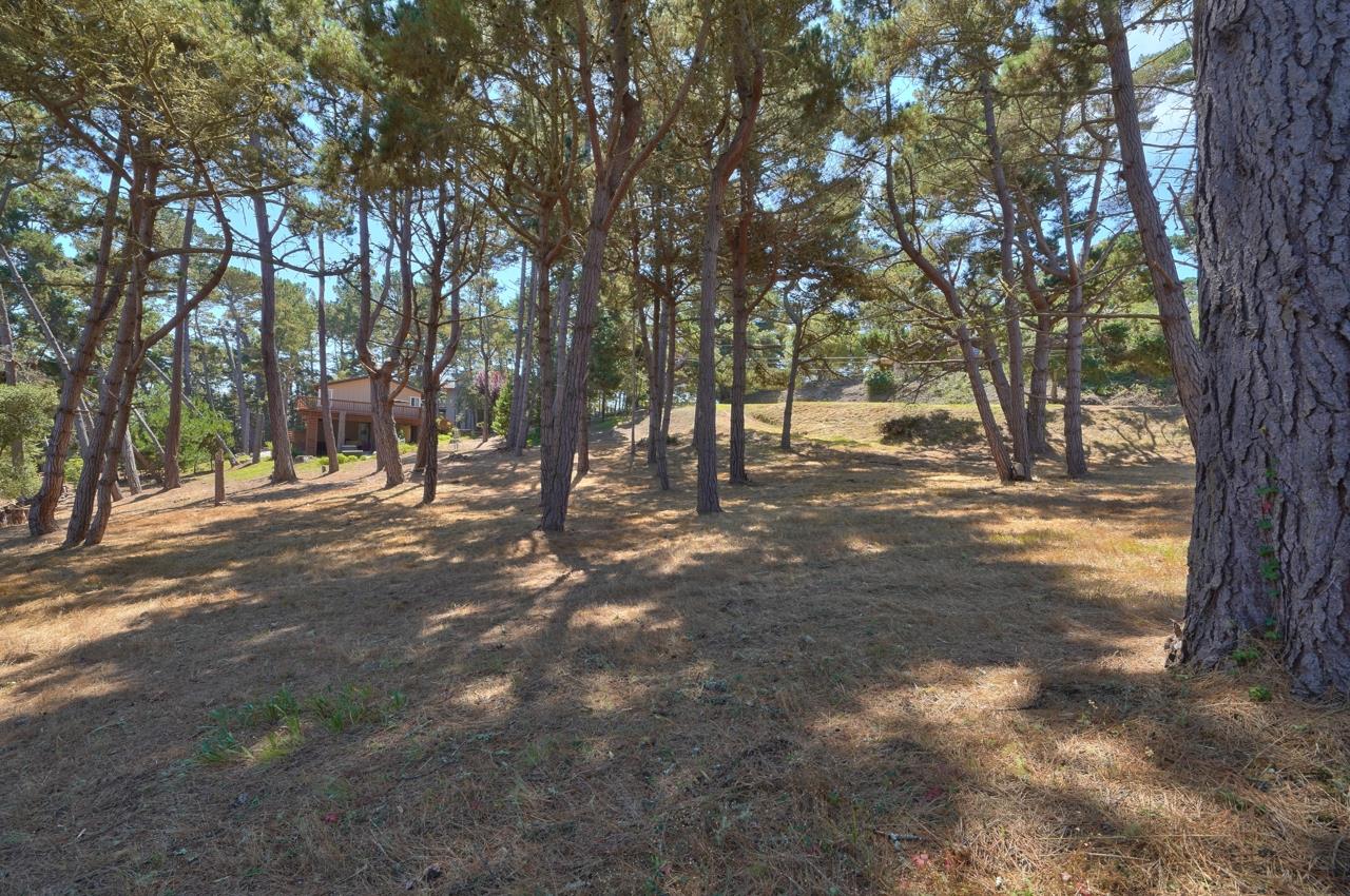 4037 Costado Road, PEBBLE BEACH, California 93953, ,Lots And Land,For Sale,Costado Road,40967732