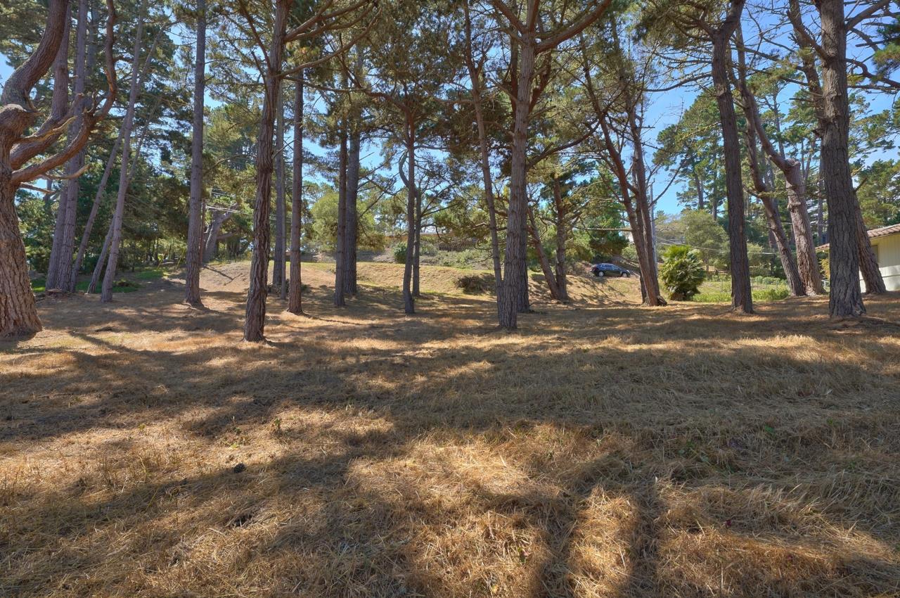4037 Costado Road, PEBBLE BEACH, California 93953, ,Lots And Land,For Sale,Costado Road,40967732