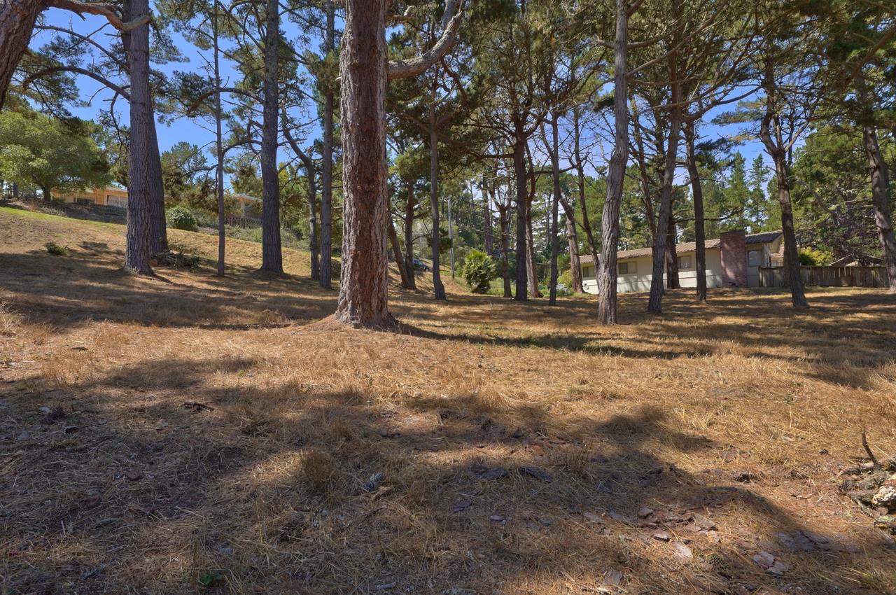 4037 Costado Road, PEBBLE BEACH, California 93953, ,Lots And Land,For Sale,Costado Road,40967732