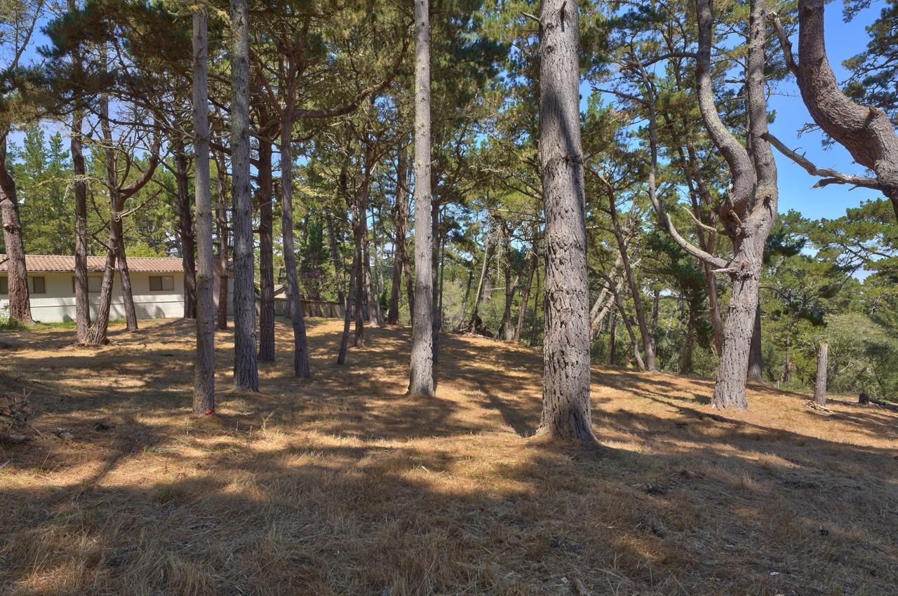 4037 Costado Road, PEBBLE BEACH, California 93953, ,Lots And Land,For Sale,Costado Road,40967732