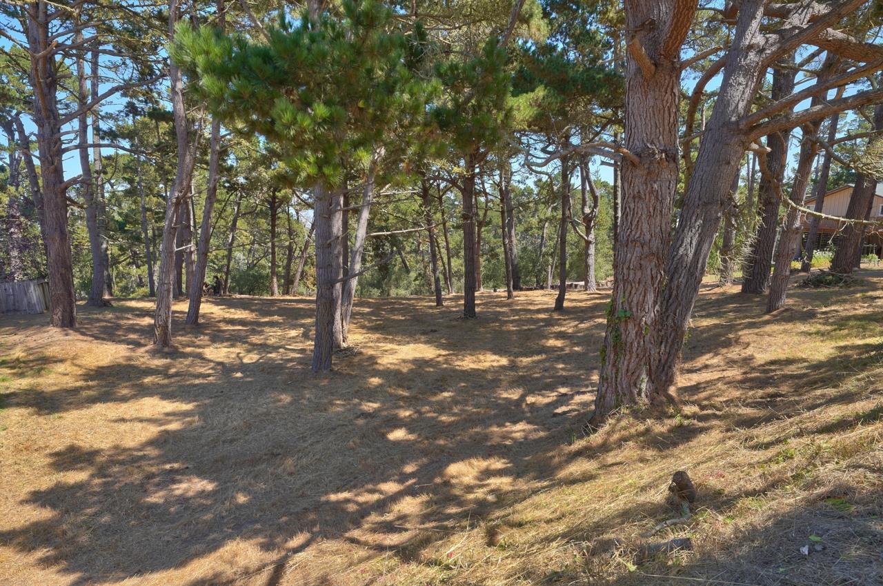 4037 Costado Road, PEBBLE BEACH, California 93953, ,Lots And Land,For Sale,Costado Road,40967732