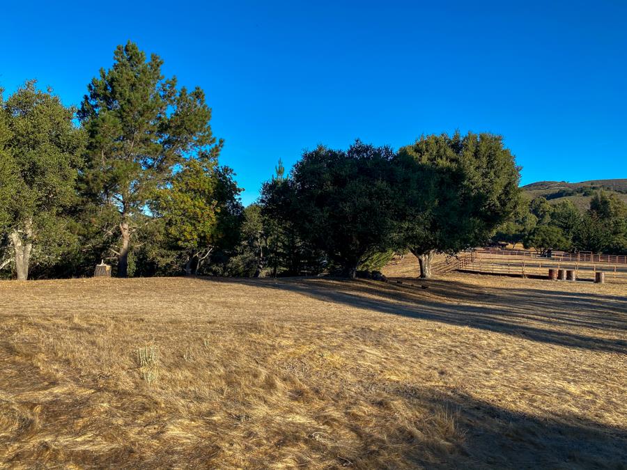 27430 Heavens Way, CARMEL VALLEY, California 93923, ,Lots And Land,For Sale,Heavens Way,40968410
