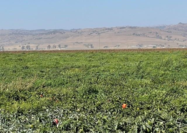 0 Frazier Lake Road, HOLLISTER, California 95023, ,Lots And Land,For Sale,Frazier Lake Road,40968426