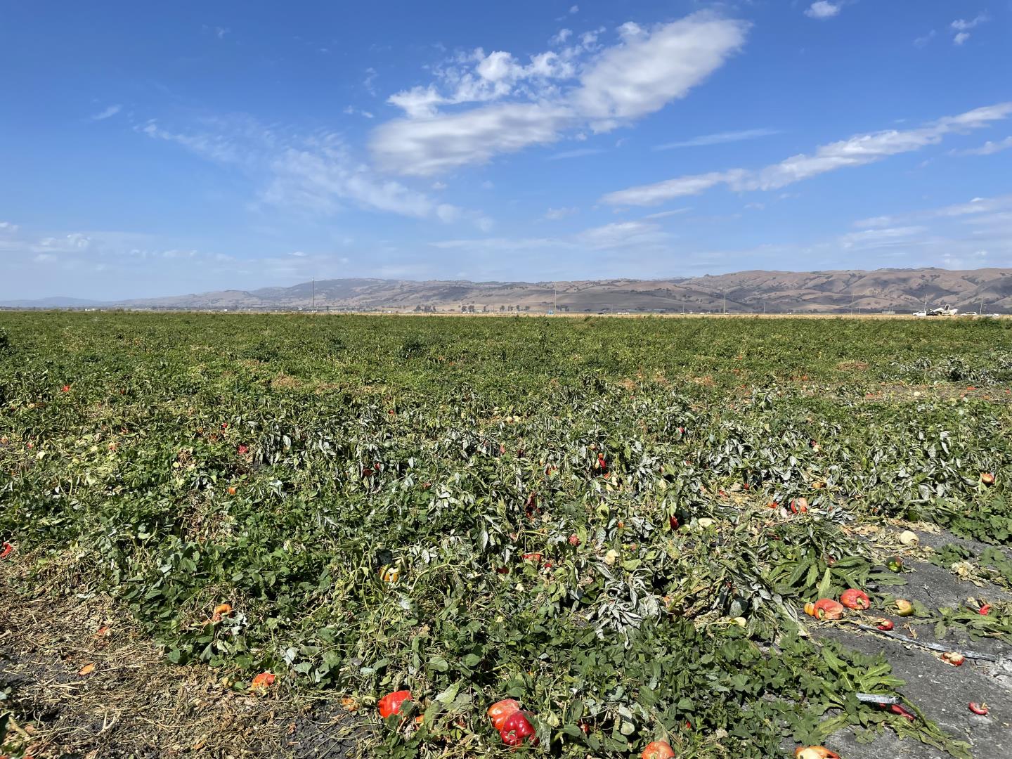 0 Frazier Lake Road, HOLLISTER, California 95023, ,Lots And Land,For Sale,Frazier Lake Road,40968426