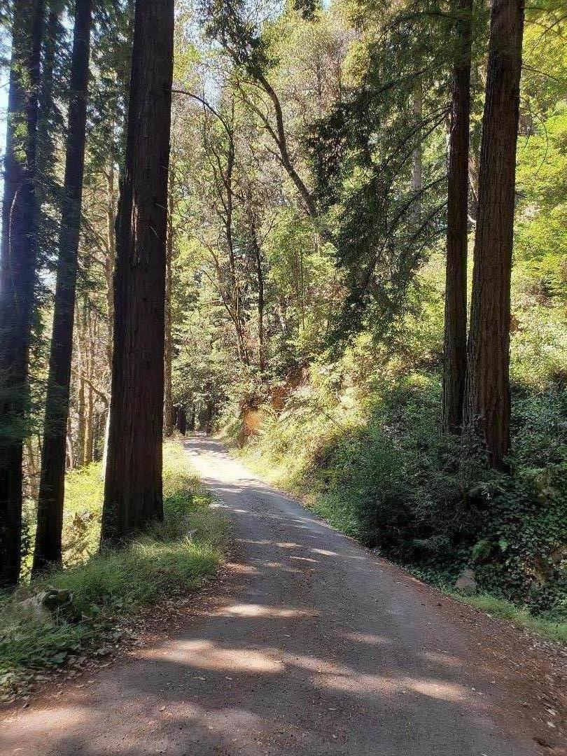 000 Purissima, WOODSIDE, California 94062, ,Lots And Land,For Sale,Purissima,40969352