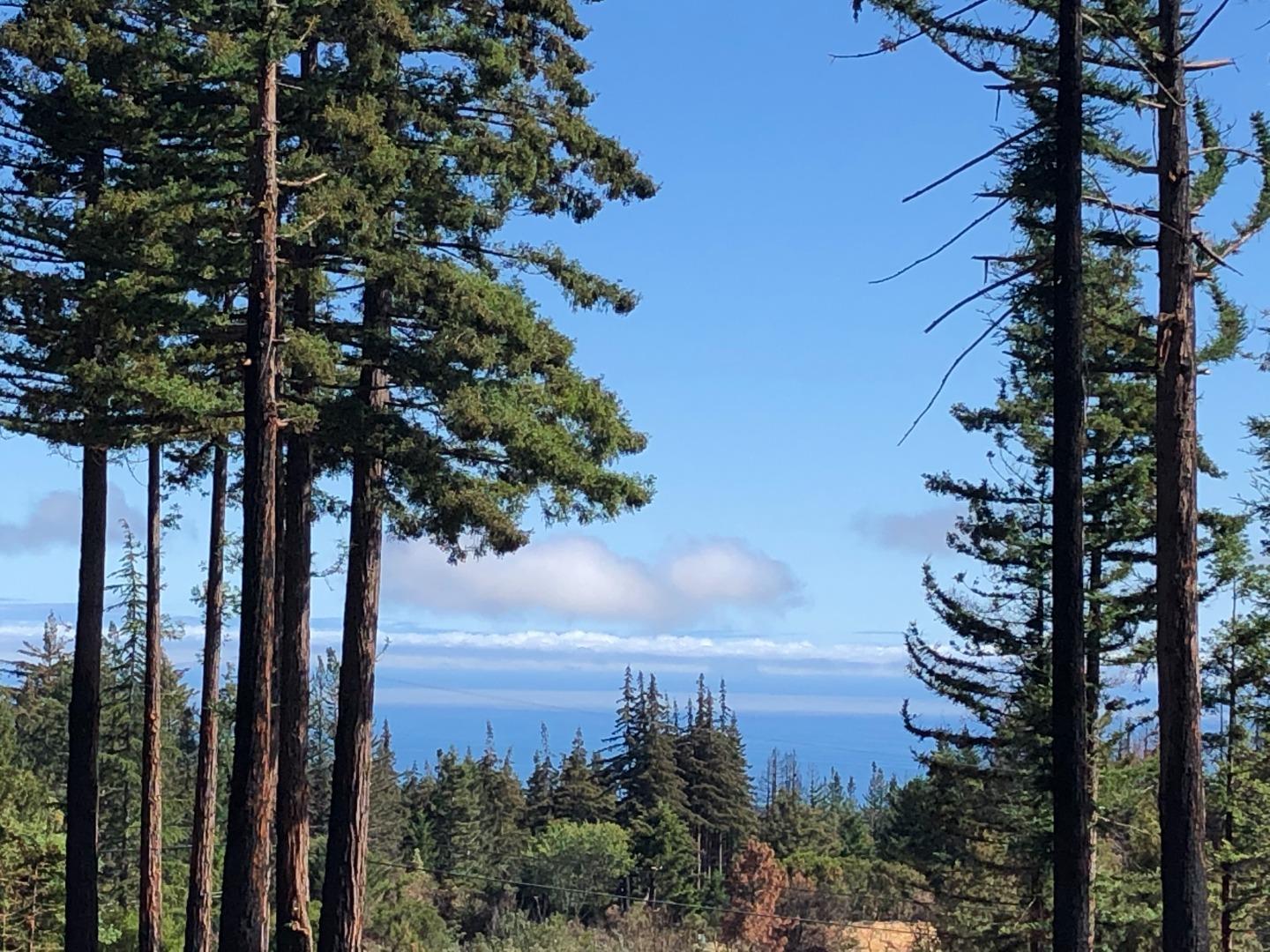 77 Pine Hill Drive, SANTA CRUZ, California 95060, ,Lots And Land,For Sale,Pine Hill Drive,40968427
