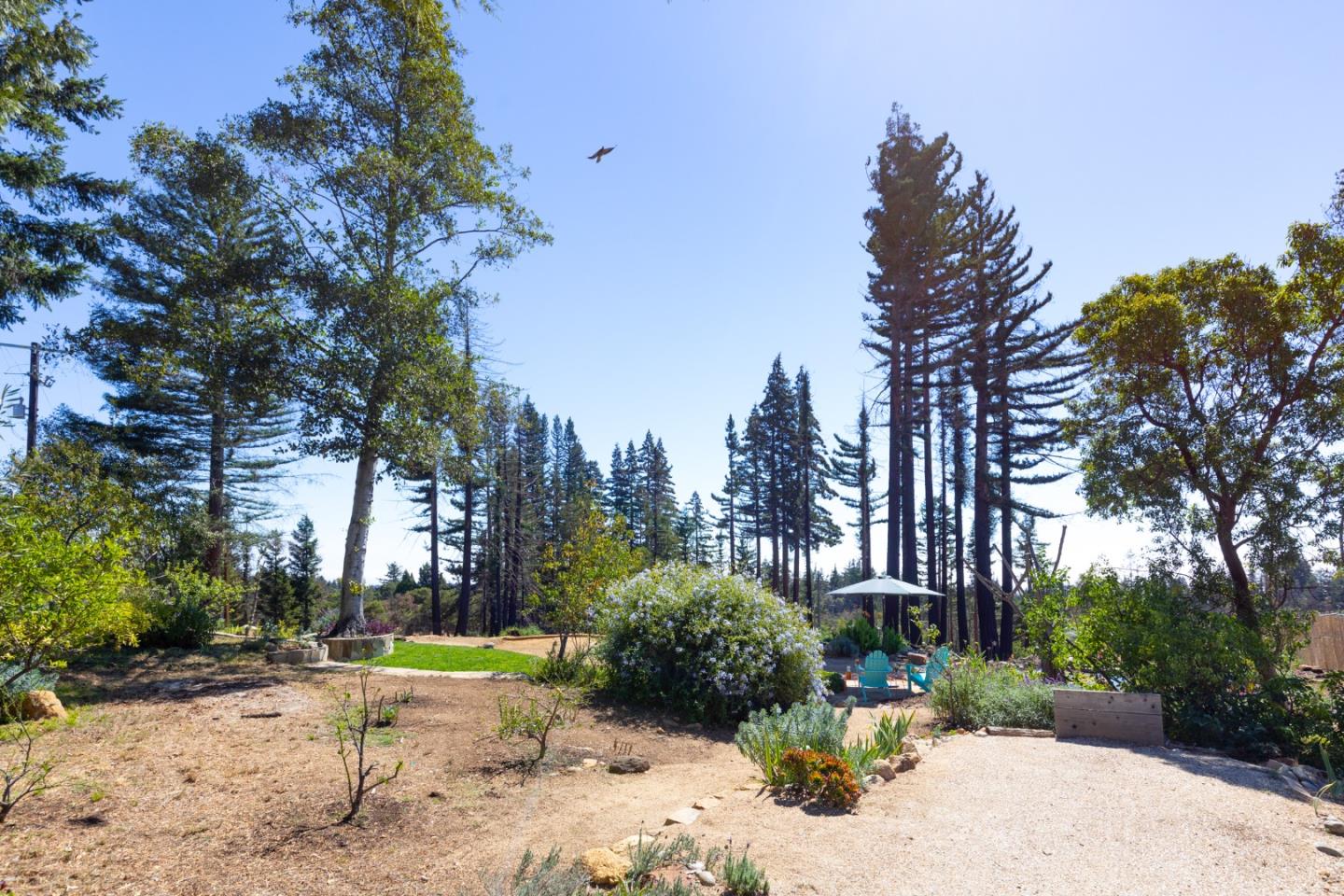 77 Pine Hill Drive, SANTA CRUZ, California 95060, ,Lots And Land,For Sale,Pine Hill Drive,40968427