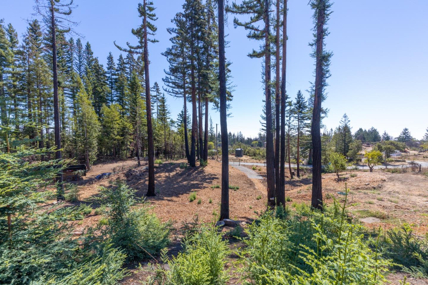 77 Pine Hill Drive, SANTA CRUZ, California 95060, ,Lots And Land,For Sale,Pine Hill Drive,40968427