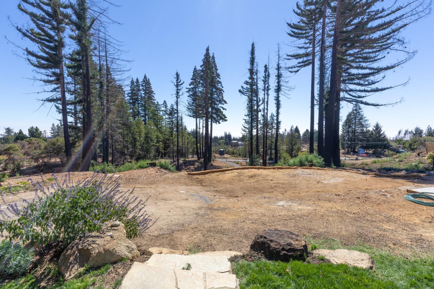 77 Pine Hill Drive, SANTA CRUZ, California 95060, ,Lots And Land,For Sale,Pine Hill Drive,40968427