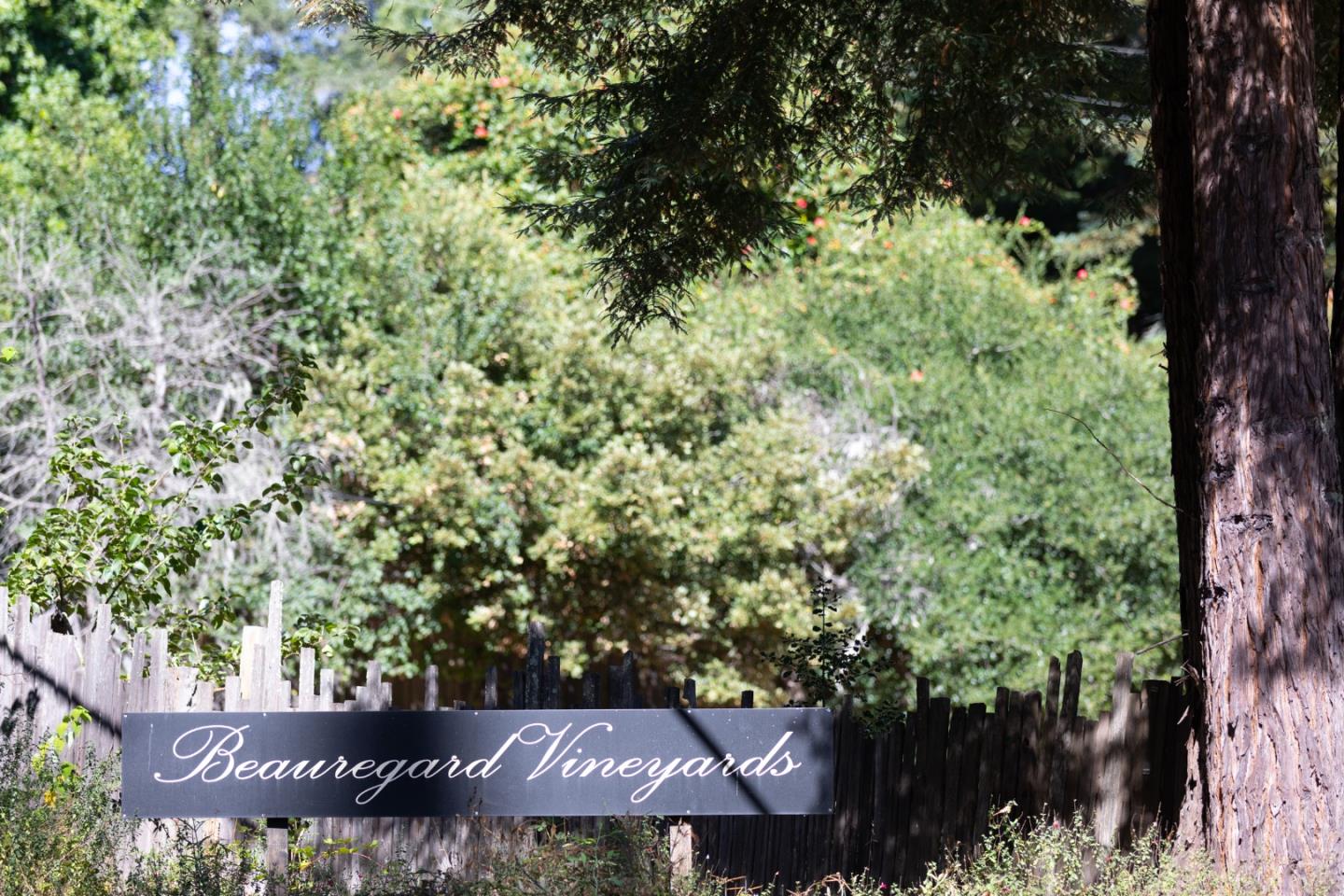 77 Pine Hill Drive, SANTA CRUZ, California 95060, ,Lots And Land,For Sale,Pine Hill Drive,40968427