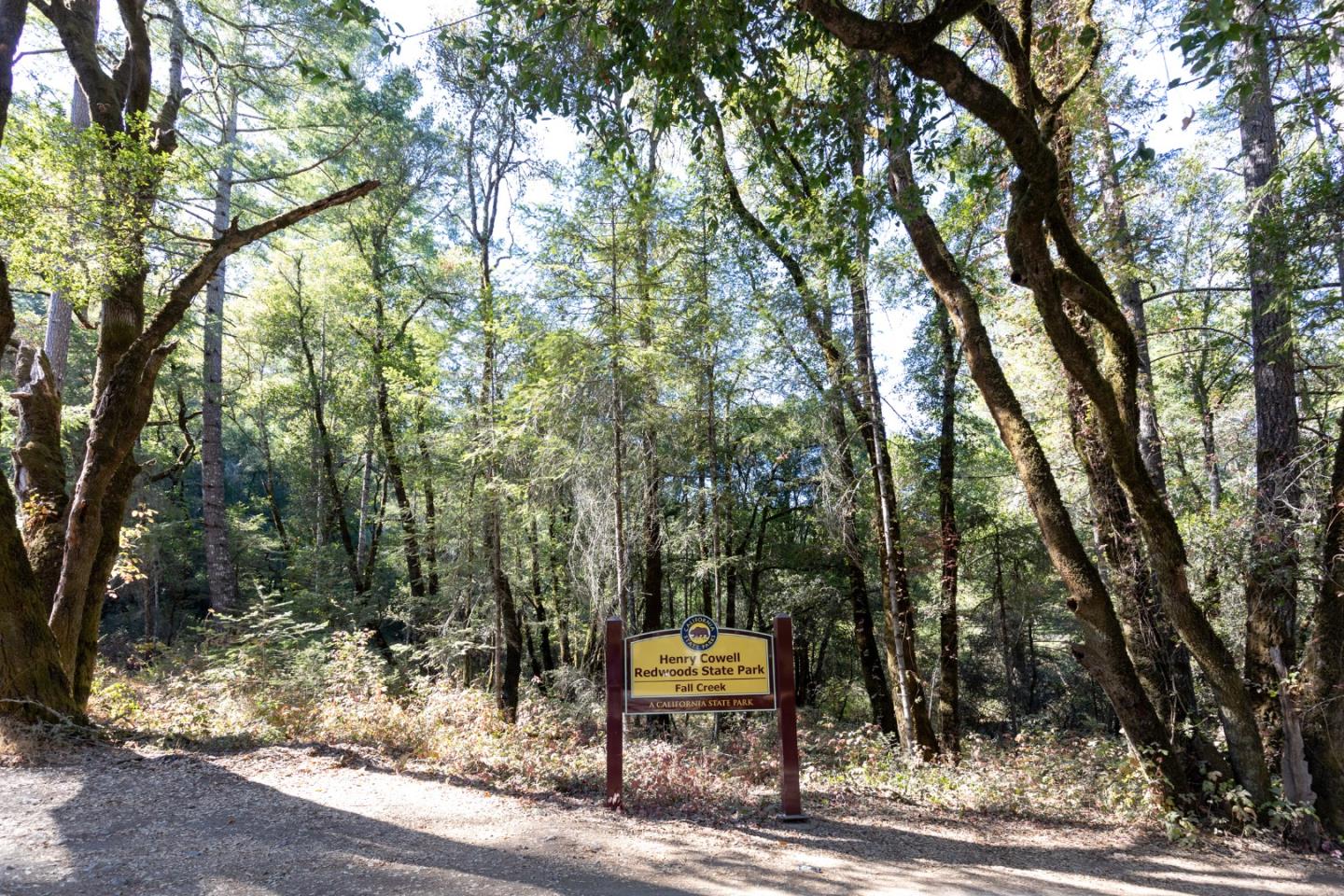 77 Pine Hill Drive, SANTA CRUZ, California 95060, ,Lots And Land,For Sale,Pine Hill Drive,40968427