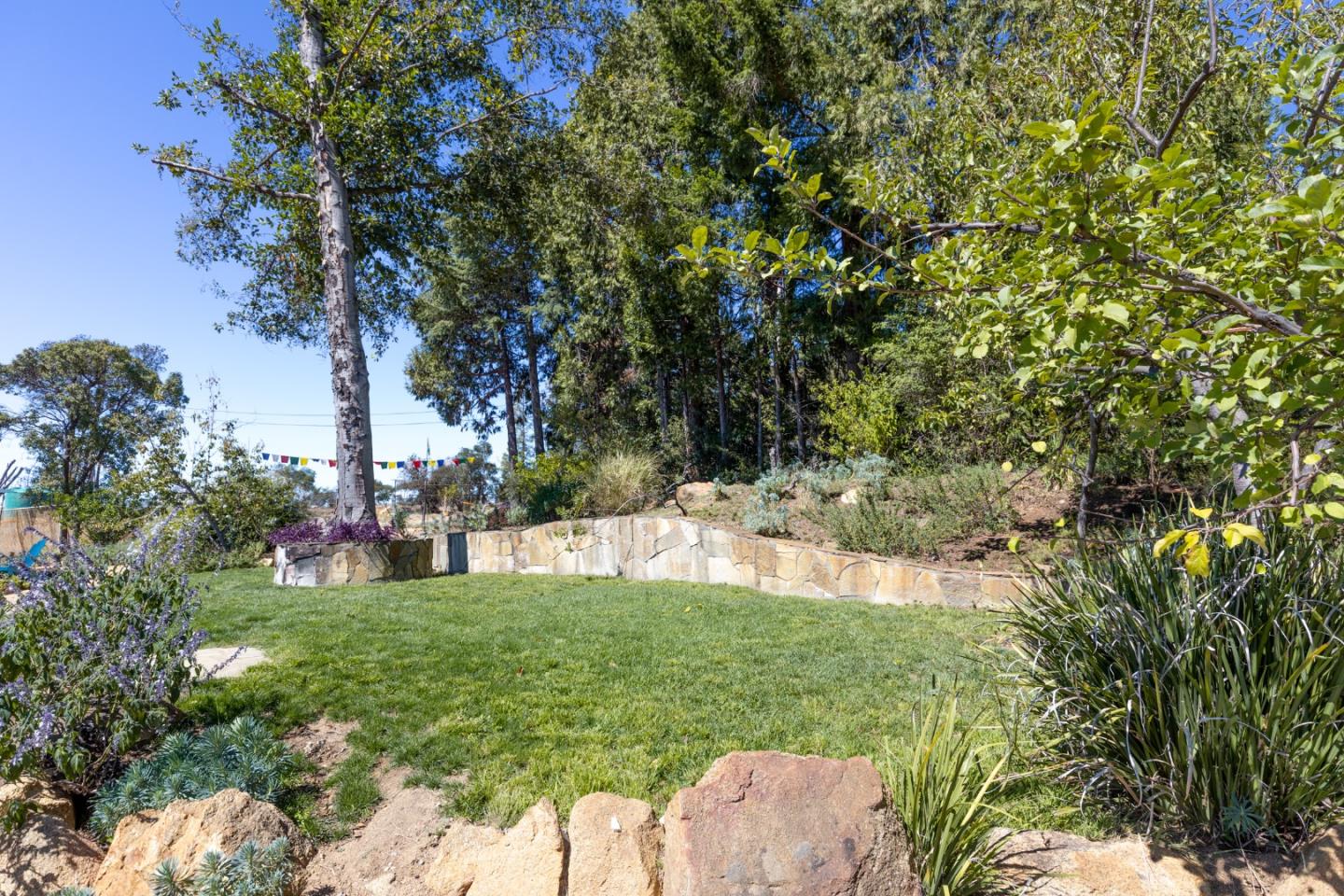 77 Pine Hill Drive, SANTA CRUZ, California 95060, ,Lots And Land,For Sale,Pine Hill Drive,40968427