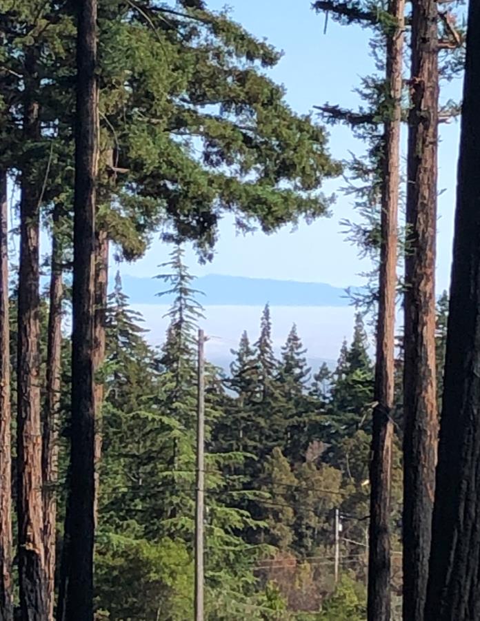 77 Pine Hill Drive, SANTA CRUZ, California 95060, ,Lots And Land,For Sale,Pine Hill Drive,40968427