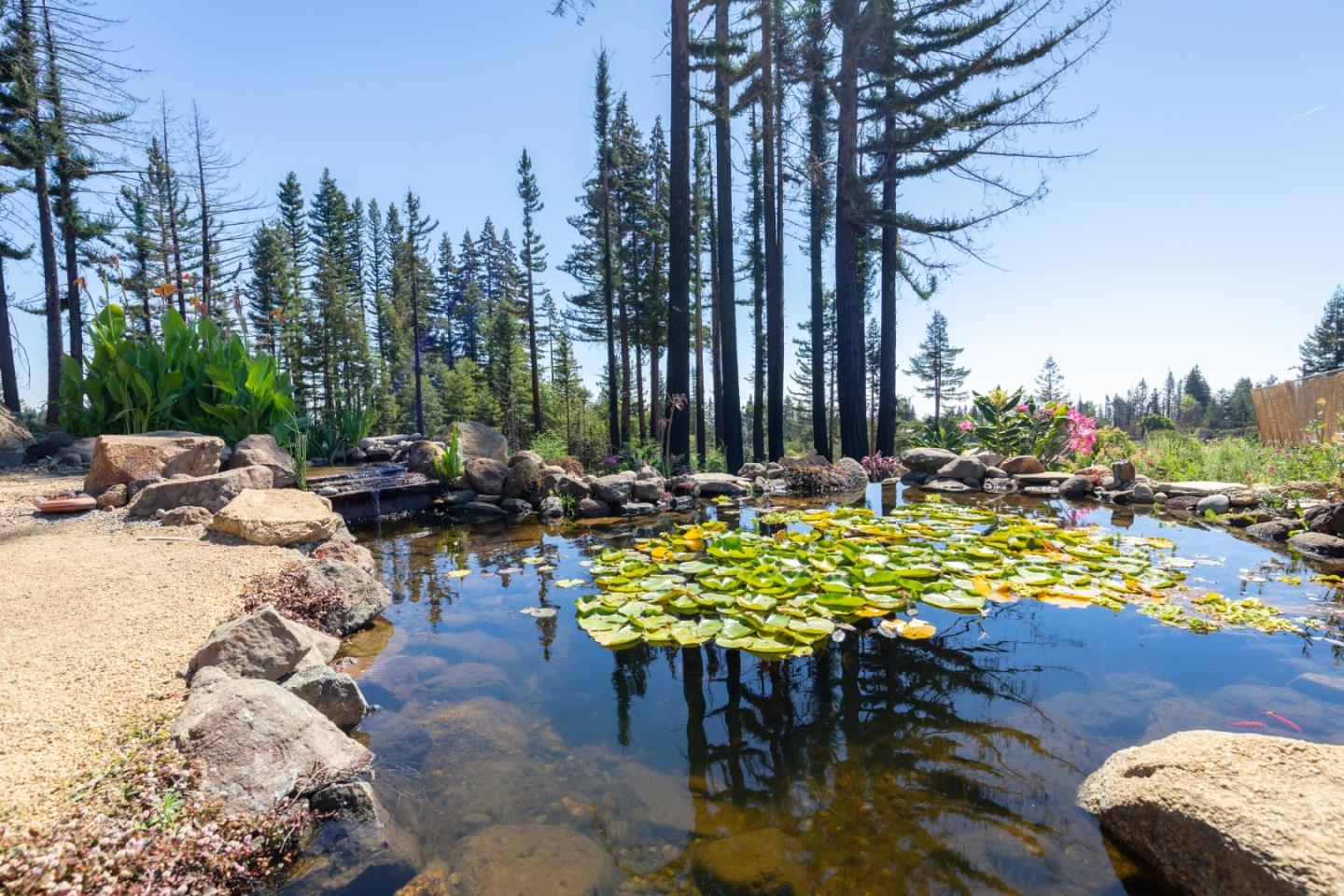 77 Pine Hill Drive, SANTA CRUZ, California 95060, ,Lots And Land,For Sale,Pine Hill Drive,40968427