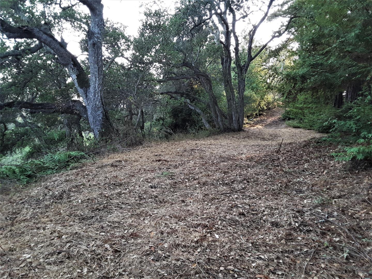 0 Ponza Lane, SOQUEL, California 95073, ,Lots And Land,For Sale,Ponza Lane,40968433