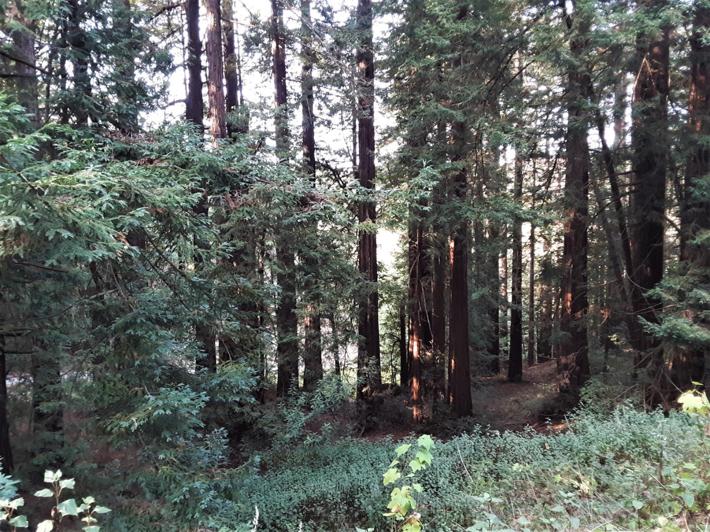 0 Ponza Lane, SOQUEL, California 95073, ,Lots And Land,For Sale,Ponza Lane,40968433