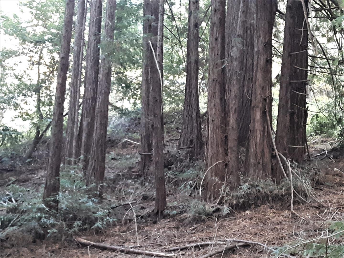 0 Ponza Lane, SOQUEL, California 95073, ,Lots And Land,For Sale,Ponza Lane,40968433