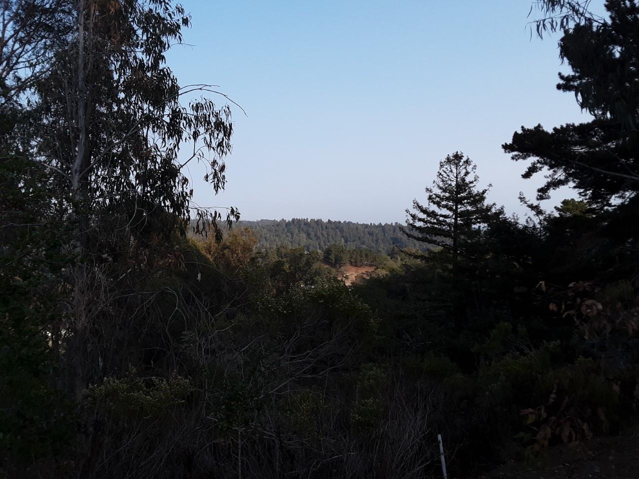 0 Ponza Lane, SOQUEL, California 95073, ,Lots And Land,For Sale,Ponza Lane,40968433