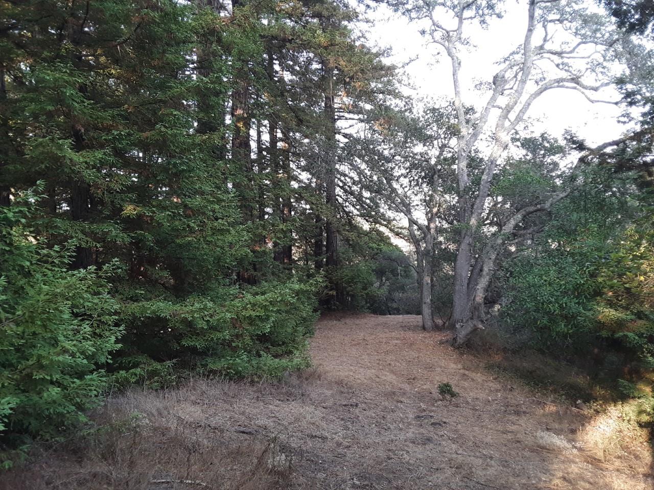0 Ponza Lane, SOQUEL, California 95073, ,Lots And Land,For Sale,Ponza Lane,40968433