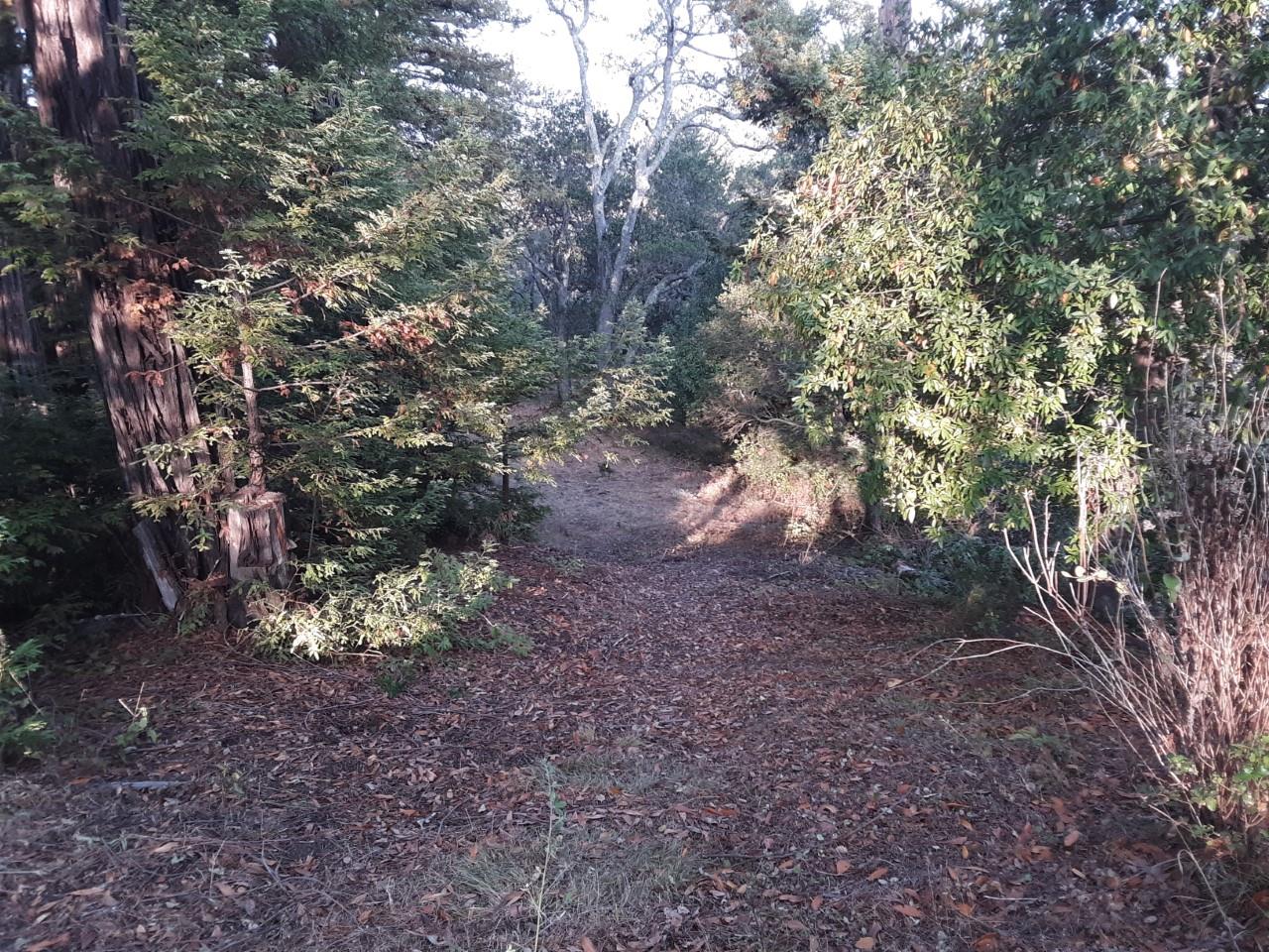 0 Ponza Lane, SOQUEL, California 95073, ,Lots And Land,For Sale,Ponza Lane,40968433