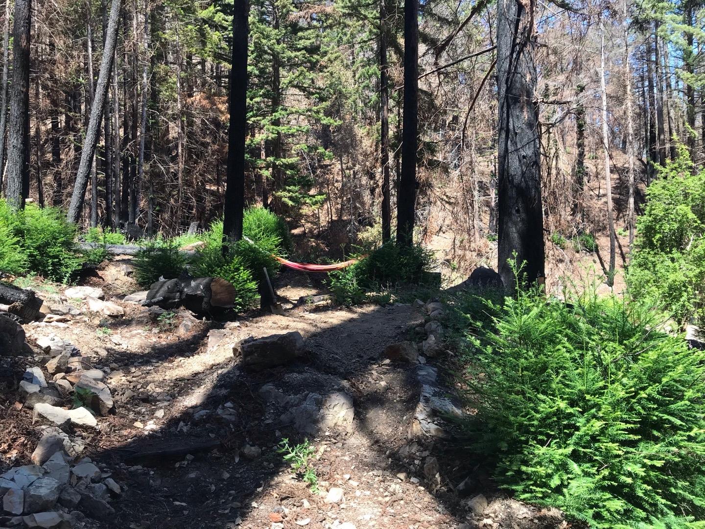 0 Whitehouse Creek, DAVENPORT, California 95017, ,Lots And Land,For Sale,Whitehouse Creek,40968434
