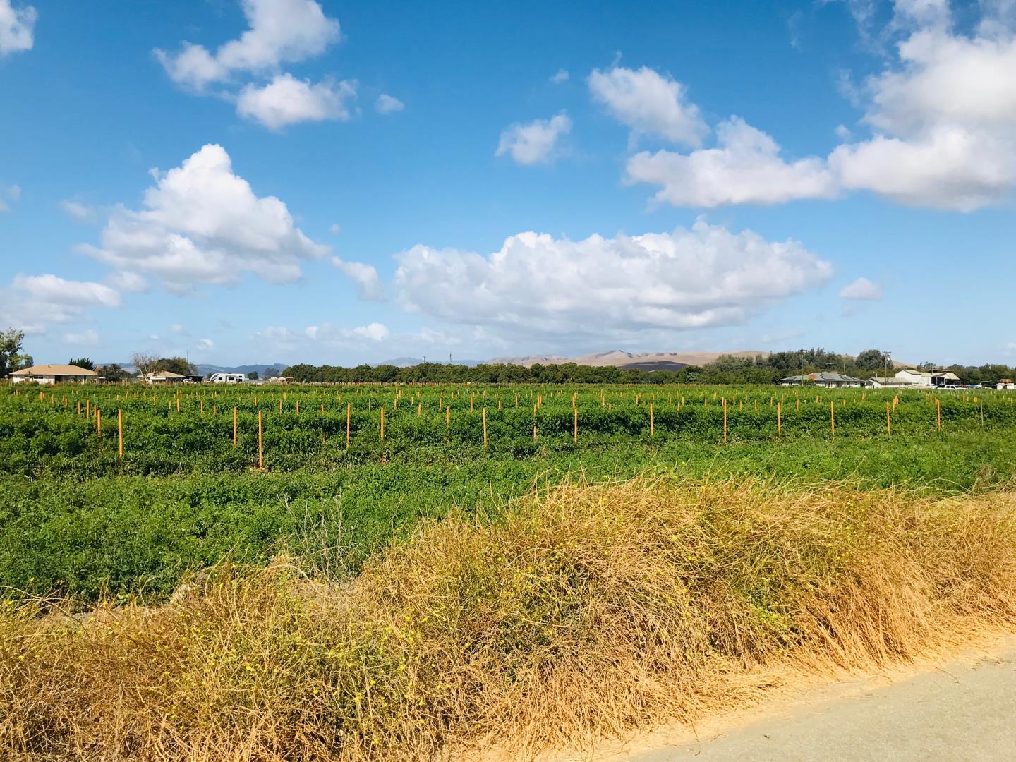 0 Mitchell Road, SAN JUAN BAUTISTA, California 95045, ,Lots And Land,For Sale,Mitchell Road,40968440