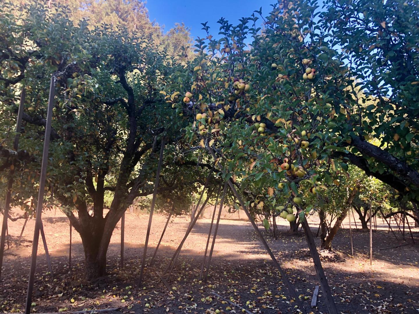 0 Green Valley, WATSONVILLE, California 95076, ,Lots And Land,For Sale,Green Valley,40968877