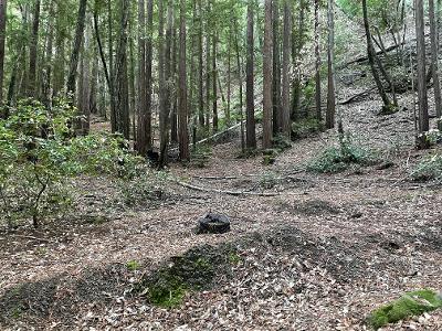 0 Murphy Canyon Road, GILROY, California 95020, ,Lots And Land,For Sale,Murphy Canyon Road,40968949