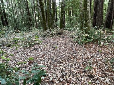 0 Murphy Canyon Road, GILROY, California 95020, ,Lots And Land,For Sale,Murphy Canyon Road,40968949