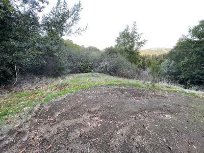 0 Murphy Canyon Road, GILROY, California 95020, ,Lots And Land,For Sale,Murphy Canyon Road,40968949