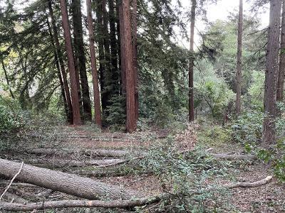 0 Murphy Canyon Road, GILROY, California 95020, ,Lots And Land,For Sale,Murphy Canyon Road,40968949