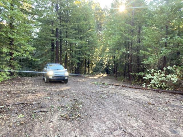 0 Murphy Canyon Road, GILROY, California 95020, ,Lots And Land,For Sale,Murphy Canyon Road,40968949