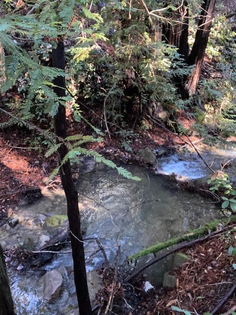 0 Murphy Canyon Road, GILROY, California 95020, ,Lots And Land,For Sale,Murphy Canyon Road,40968949