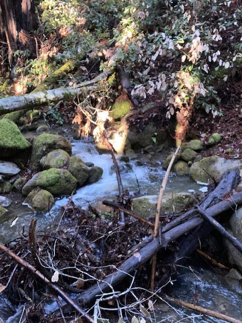 0 Murphy Canyon Road, GILROY, California 95020, ,Lots And Land,For Sale,Murphy Canyon Road,40968949