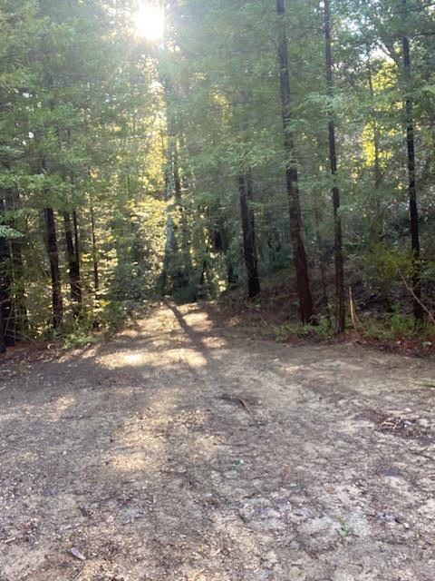 0 Murphy Canyon Road, GILROY, California 95020, ,Lots And Land,For Sale,Murphy Canyon Road,40968949