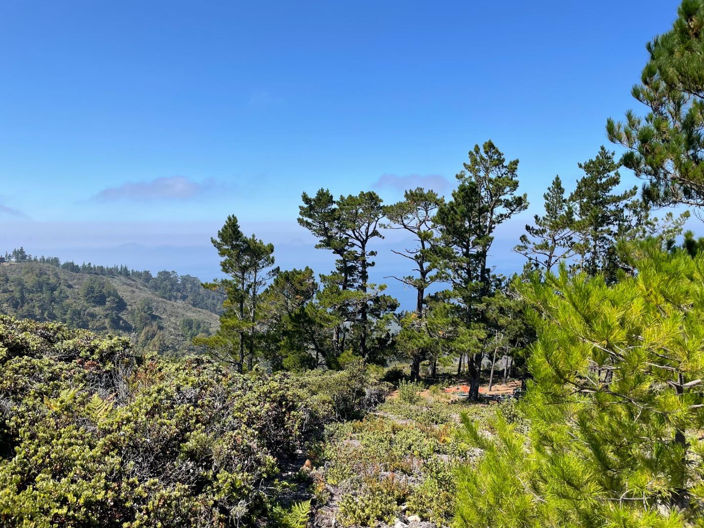 2700 Red Wolf Drive, CARMEL, California 93923, ,Lots And Land,For Sale,Red Wolf Drive,40975283