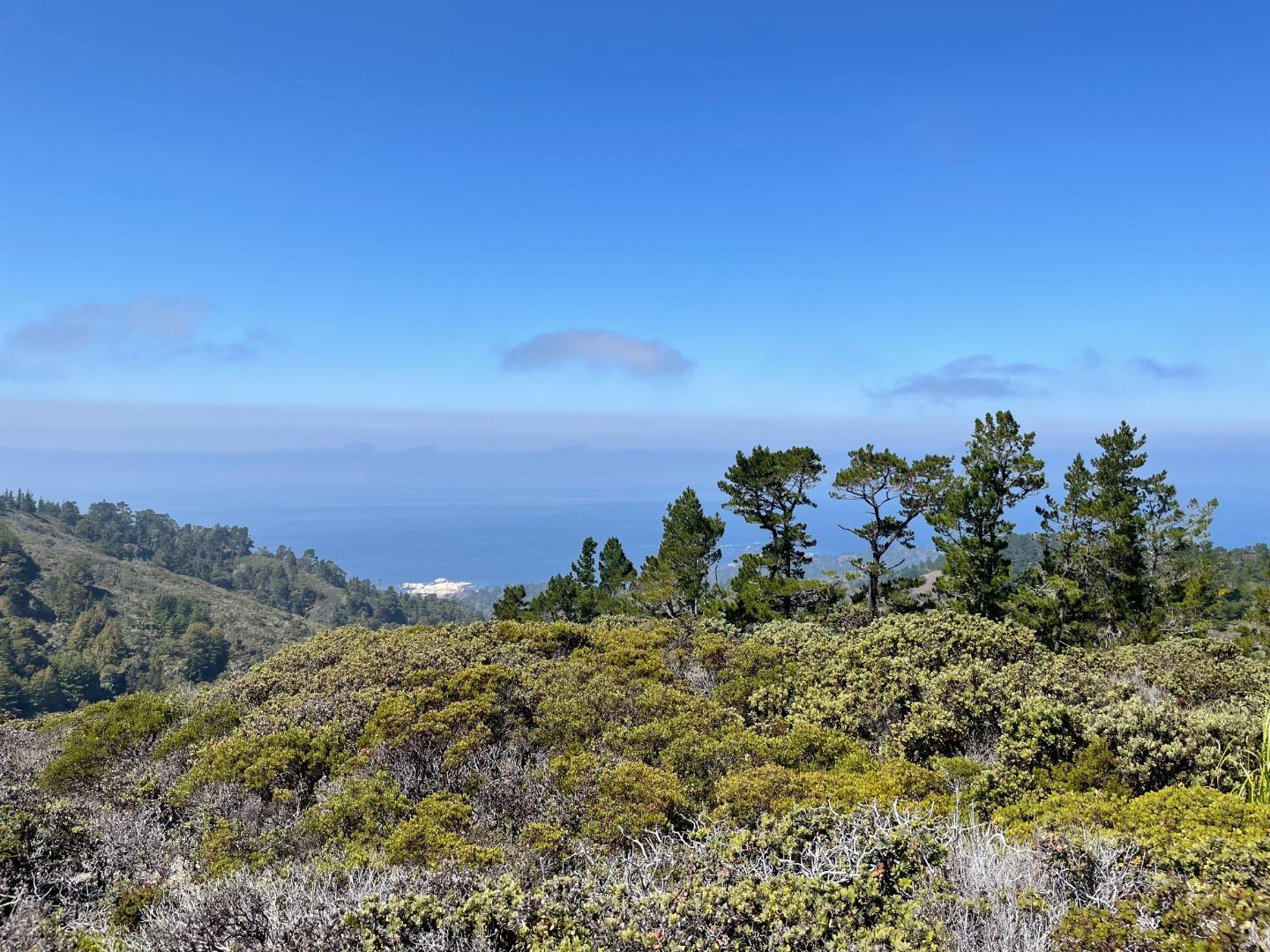 2700 Red Wolf Drive, CARMEL, California 93923, ,Lots And Land,For Sale,Red Wolf Drive,40975283