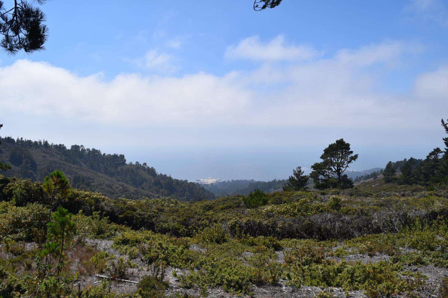 2700 Red Wolf Drive, CARMEL, California 93923, ,Lots And Land,For Sale,Red Wolf Drive,40975283