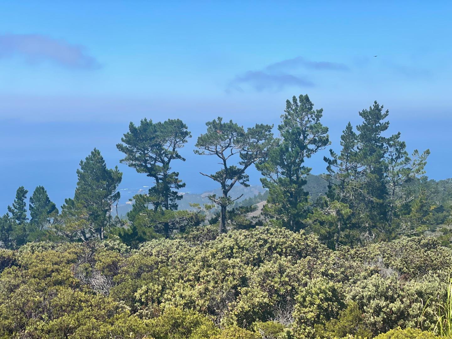 2700 Red Wolf Drive, CARMEL, California 93923, ,Lots And Land,For Sale,Red Wolf Drive,40975283