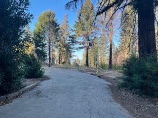 12505 Alba Road, BEN LOMOND, California 95005, ,Lots And Land,For Sale,Alba Road,40968950