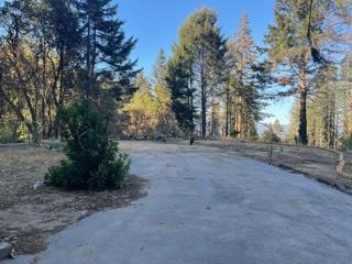 12505 Alba Road, BEN LOMOND, California 95005, ,Lots And Land,For Sale,Alba Road,40968950